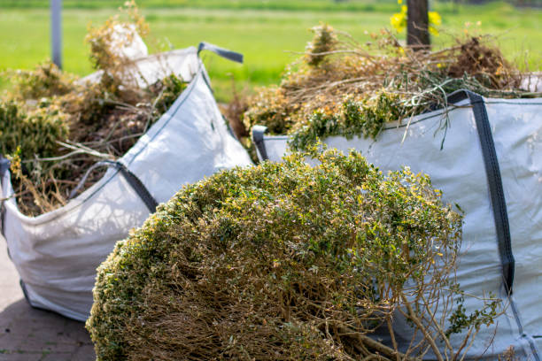 Same-Day Junk Removal Services in Homestead, FL